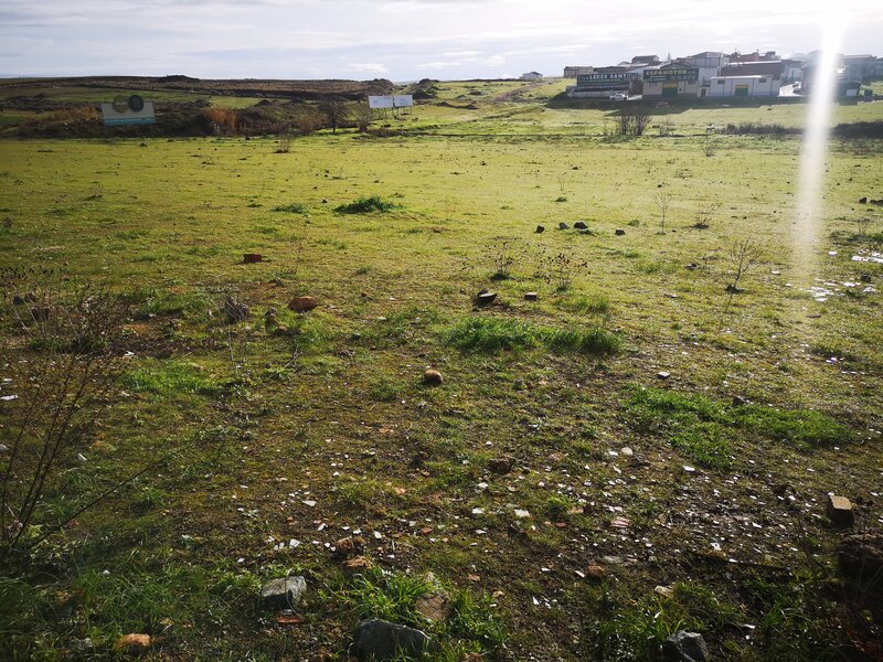undefined - Image 10
