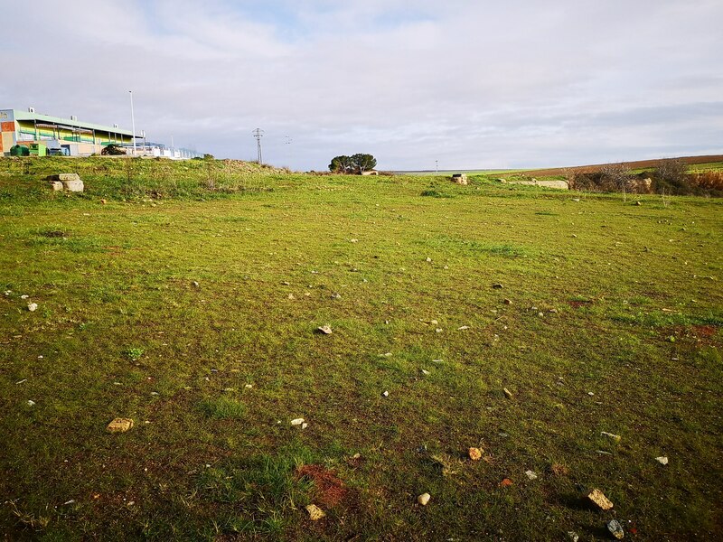 undefined - Image 7