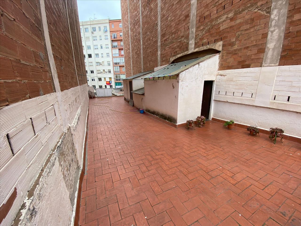 - Image 7