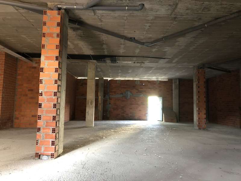 Image5