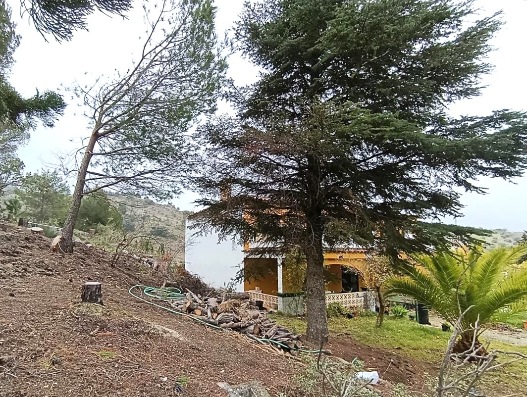Casa independiente en PARAJE CASERIA DE DON ESTEBAN (POLIGONO 3, PARCELA
