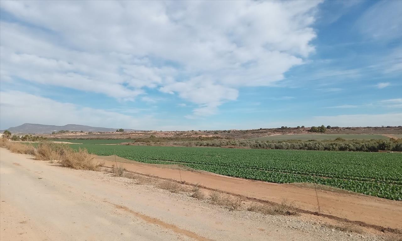 Suelo urbanizable residencial en PP GRANADOS