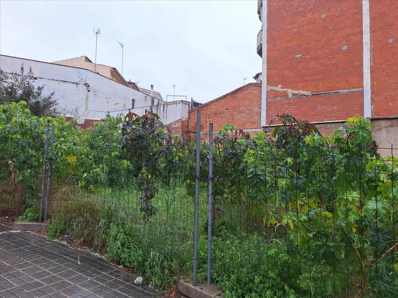 undefined - Image 3