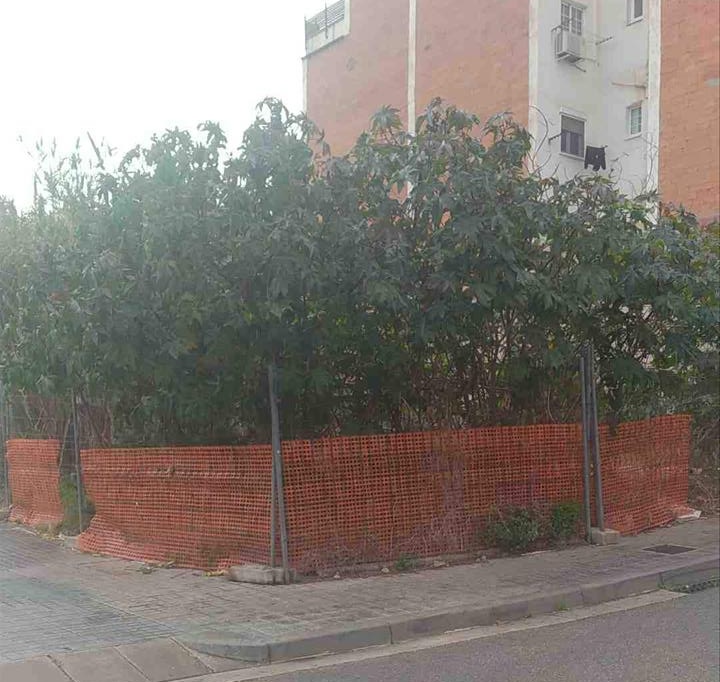 undefined - Image 4