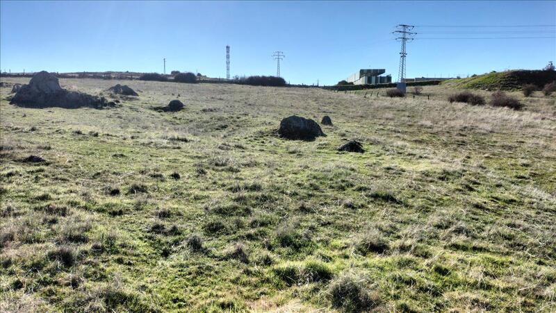 undefined - Image 6