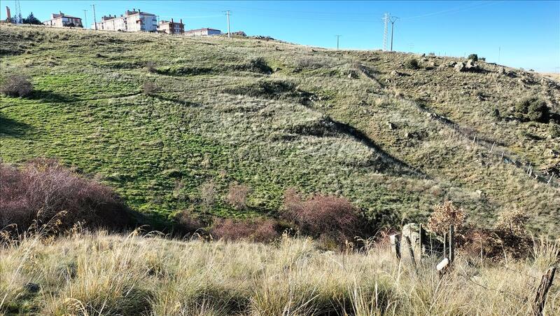 undefined - Image 16