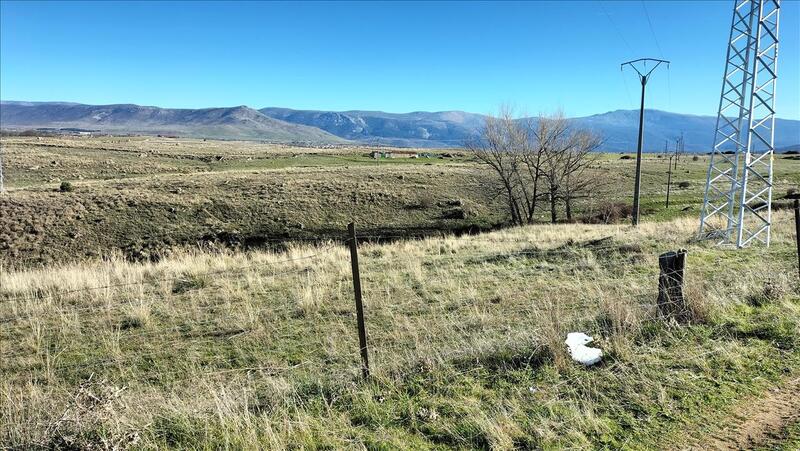 undefined - Image 12