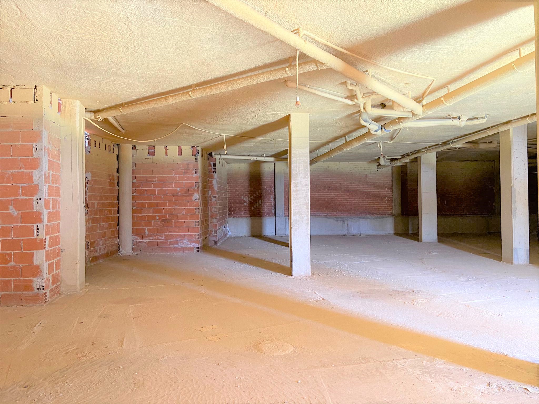 - Image 9