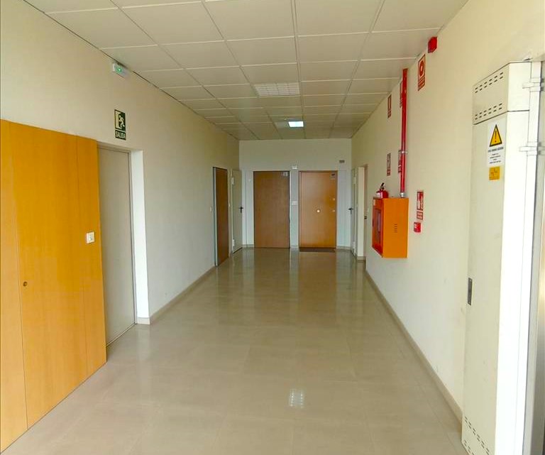  - Image 19