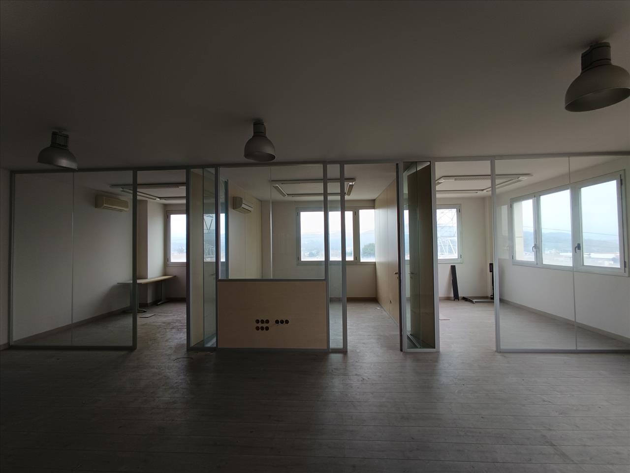  - Image 7