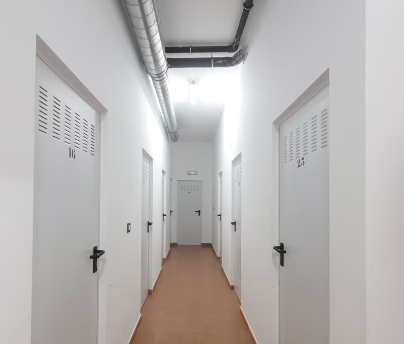 Image4