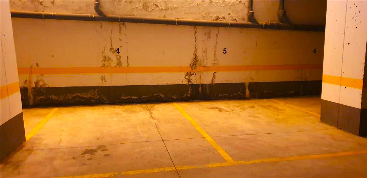 Image5