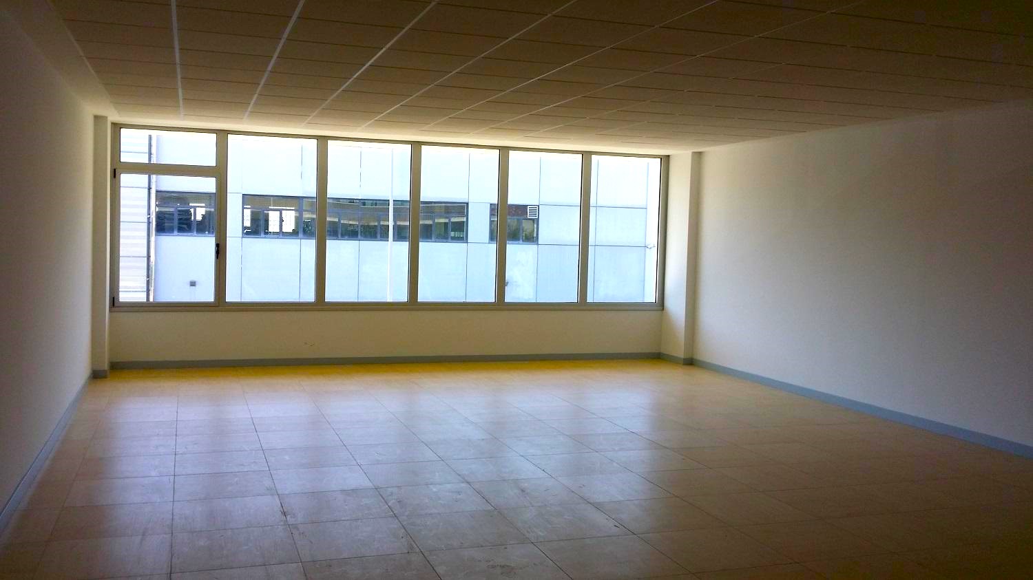- Image 7