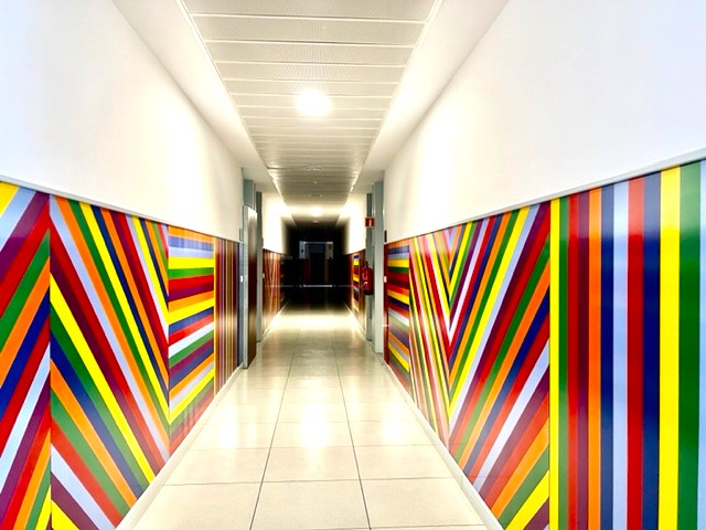 - Image 9