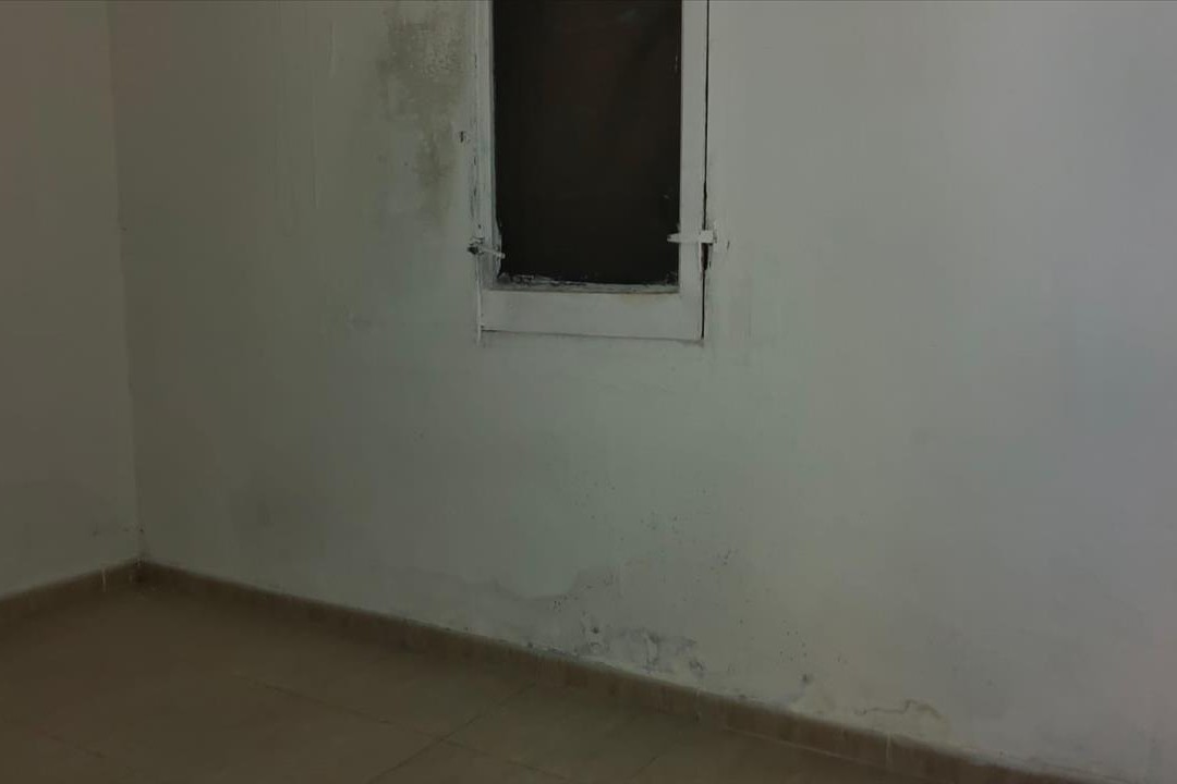  - Image 11
