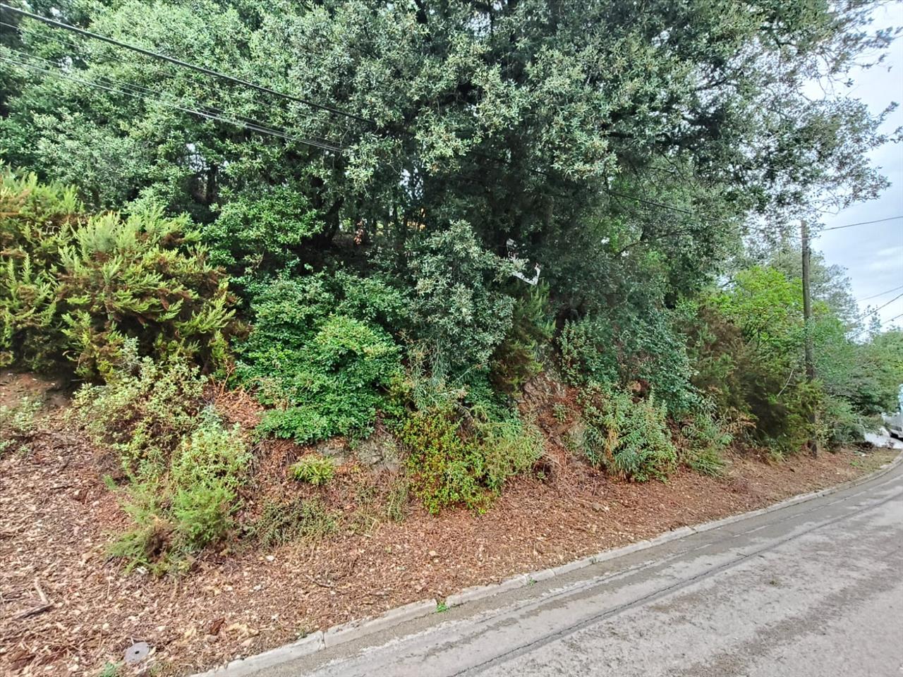 - Image 1