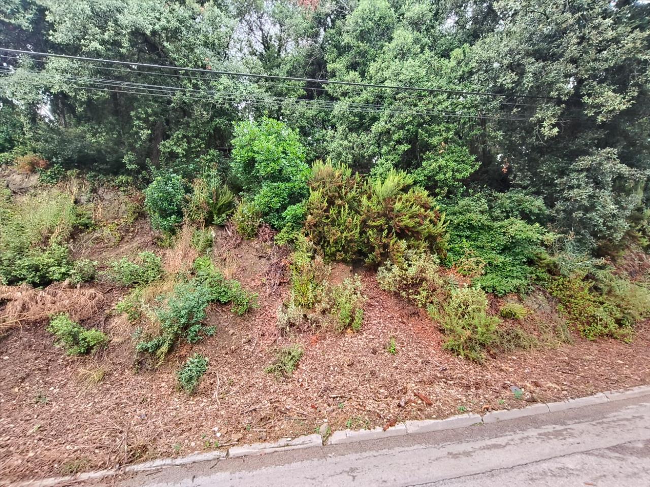 - Image 6
