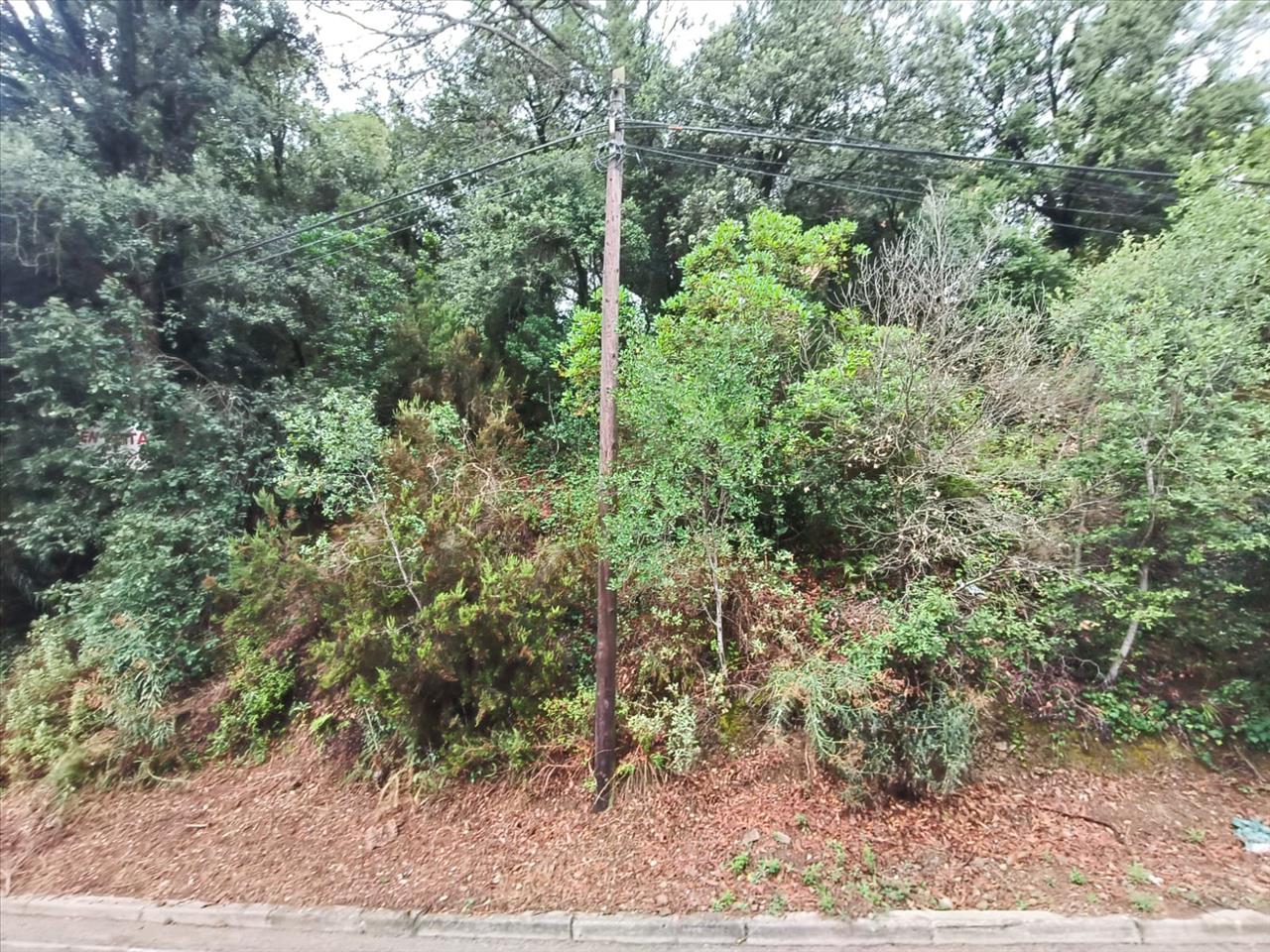 - Image 8
