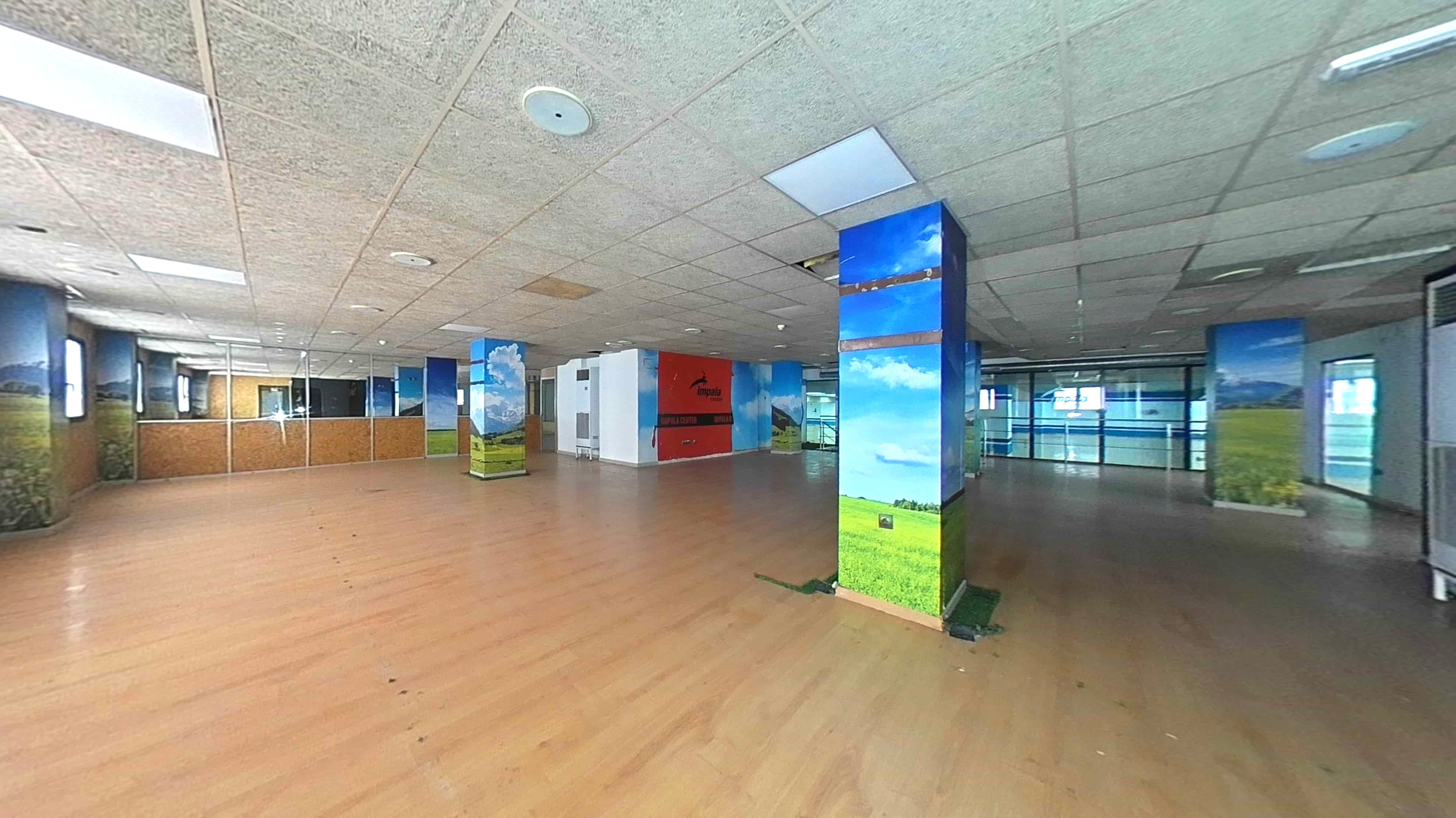 Asset image0