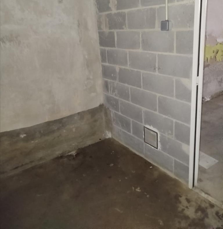undefined - Image 8