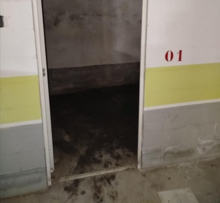 undefined - Image 7