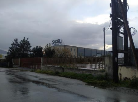 Media 5