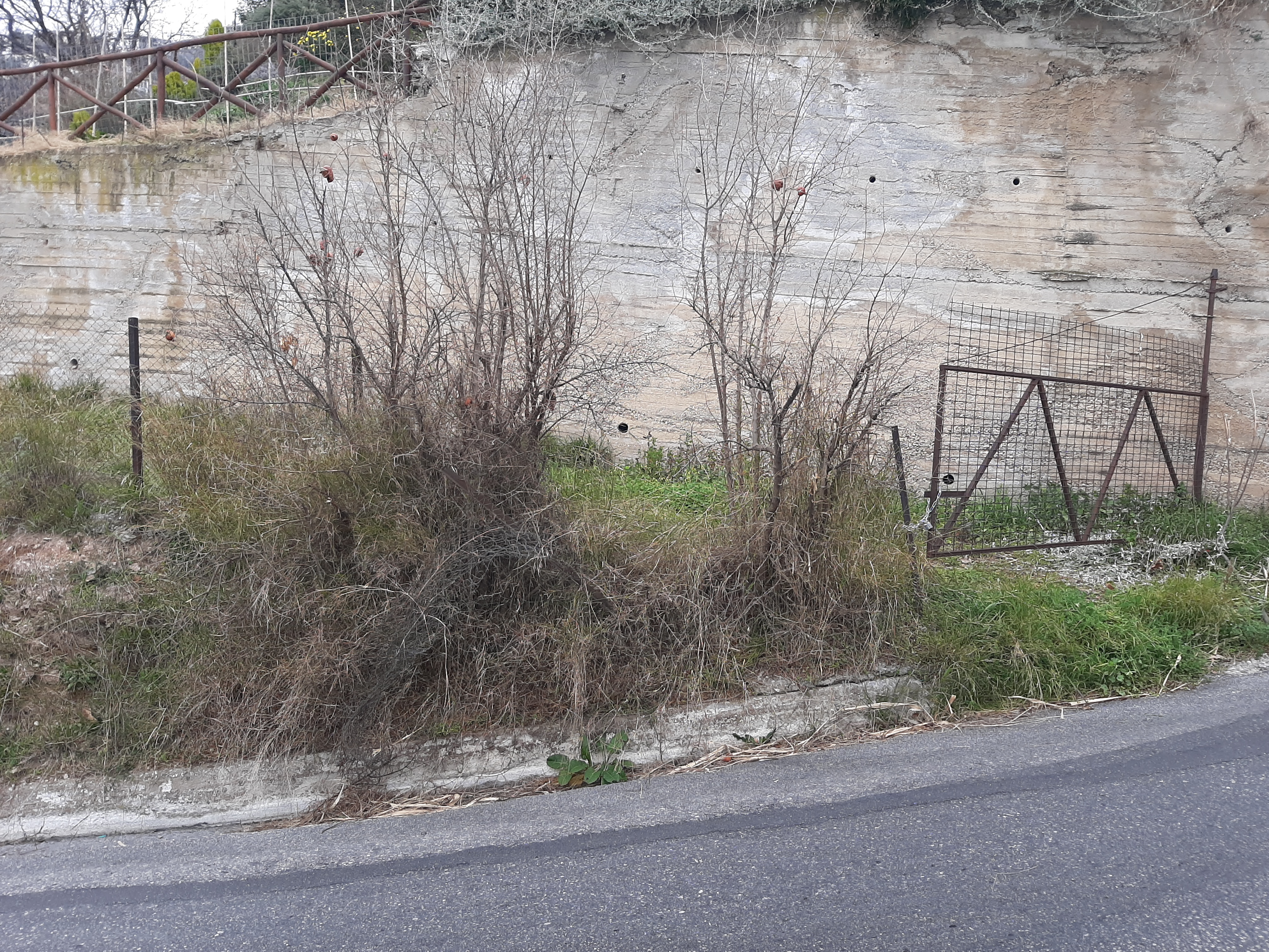Διατίθεται προς πώληση οικόπεδο 1005 τ.μ., επί της Επαρχιακής Οδού Βόλου-Πορταριάς, στη θέση "Επισκοπή-Παναγιά", στον Άνω Βόλο, Ιωλκός, Βόλος