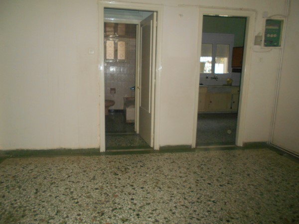 Media 6