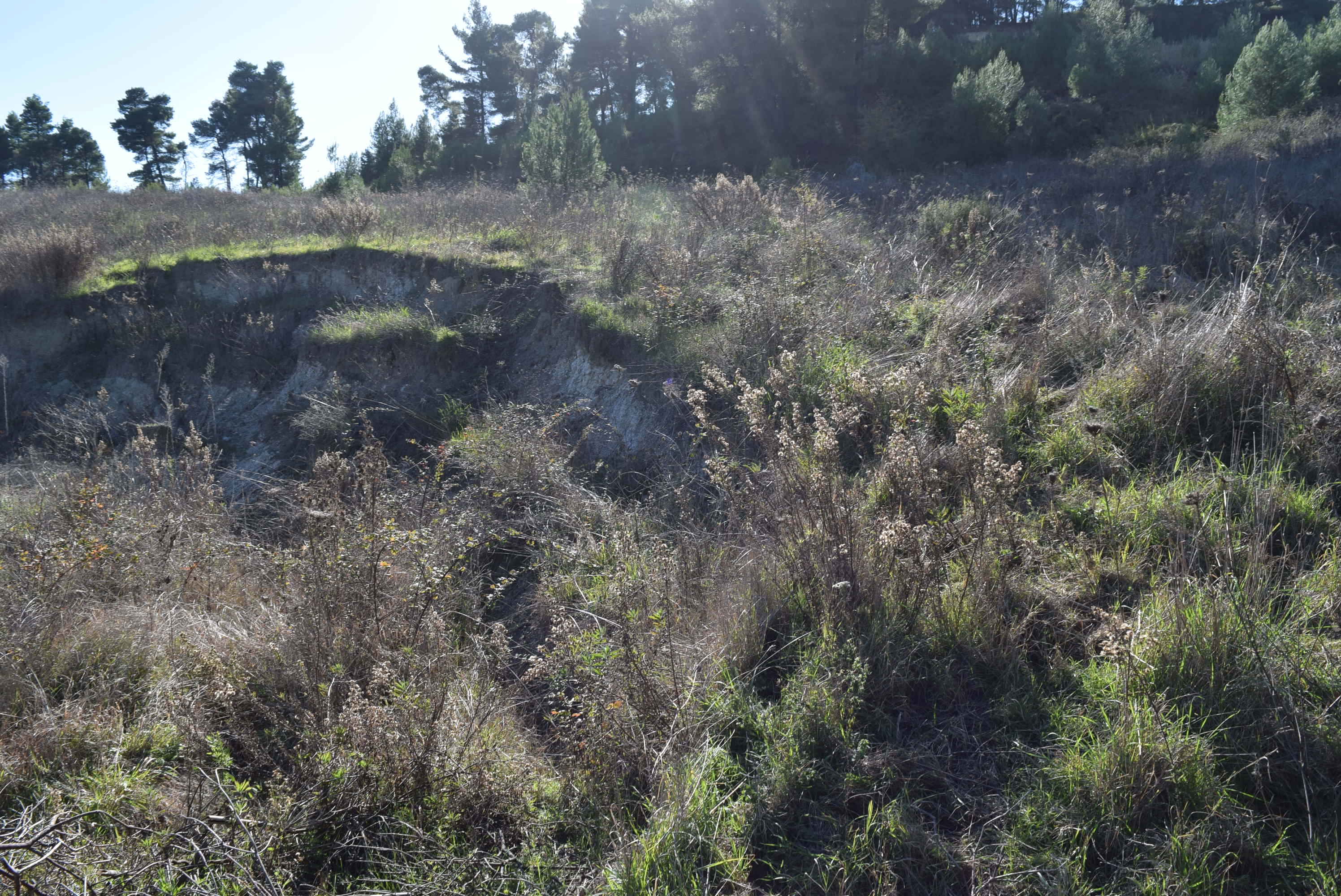 Media 3
