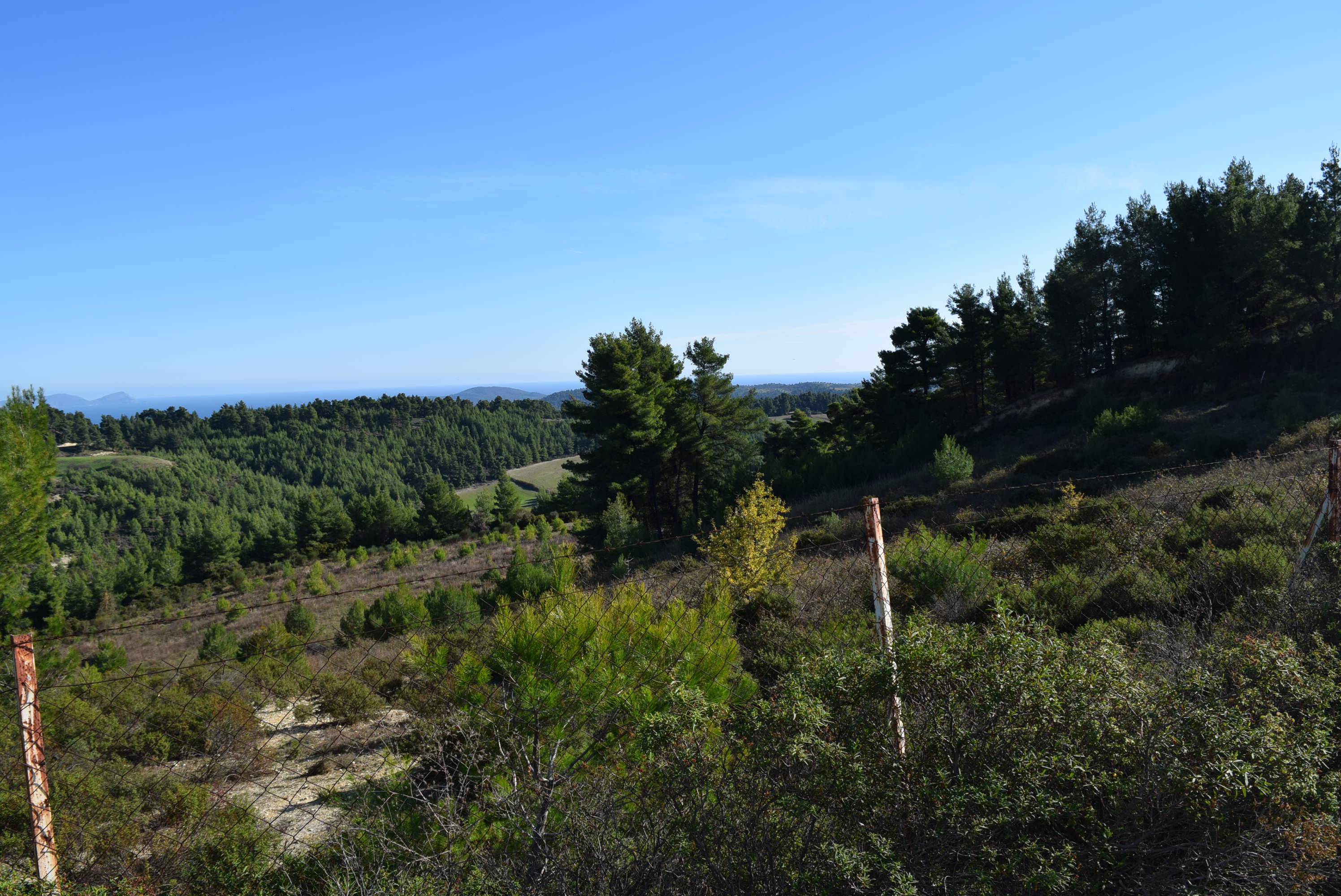 Διατίθεται προς πώληση αγροτεμάχιο 4015.60 τ.μ., στη θέση «Προφήτης Ηλίας», στην Αγία Παρασκευή Κασσάνδρας, Χαλκιδική