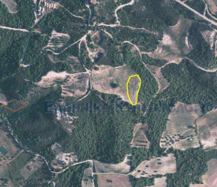 Διατίθεται προς πώληση γεωτεμάχιο 4088.02 τ.μ., στη θέση «Προφήτης Ηλίας», στην Αγία Παρασκευή Κασσάνδρας της Περιφερειακής Ενότητας Χαλκιδικής, Περιφέρεια Κεντρικής Μακεδονίας