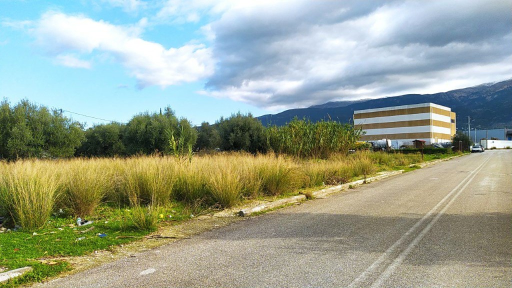 Media 3