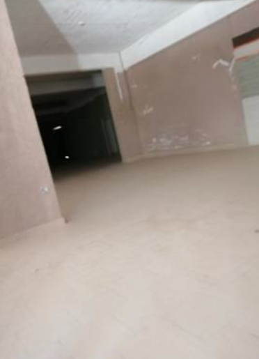 Media 12