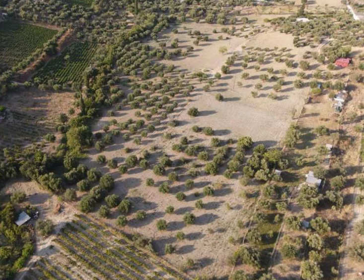 Διατίθενται προς πώληση 9 αγροτεμάχια συνολικής επιφάνειας 33.545 τ.μ., εκτός σχεδίου, μη άρτια και μη οικοδομήσιμα, εκτός αλλά πλησίον του Οικισμού Μιντιλογλίου, στη θέση Λινοβρόχια, της ΔΕ Παραλίας του Δήμου Πατρέων, ΠΕ Αχαϊας