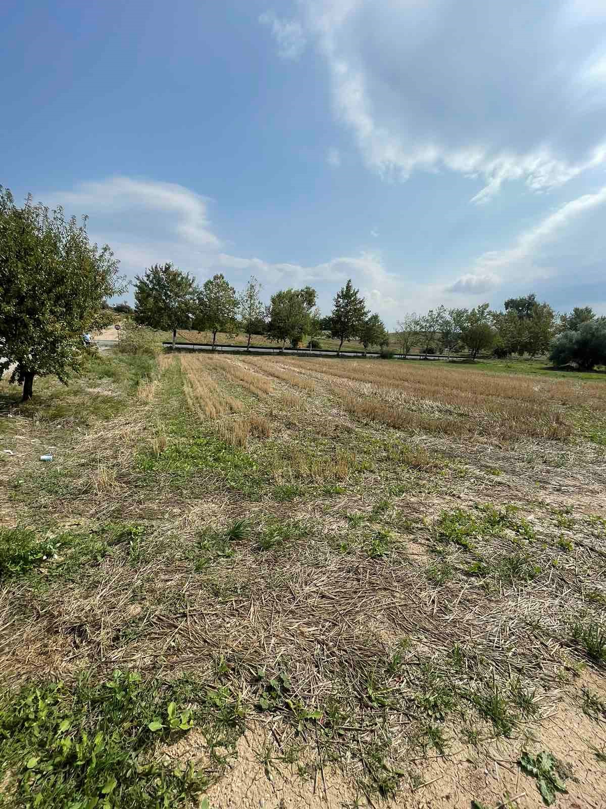 Διατίθεται προς πώληση γωνιακό οικόπεδο 1591.27 τ.μ., θέση "Πόριζα", Τανάγρα Βοιωτίας