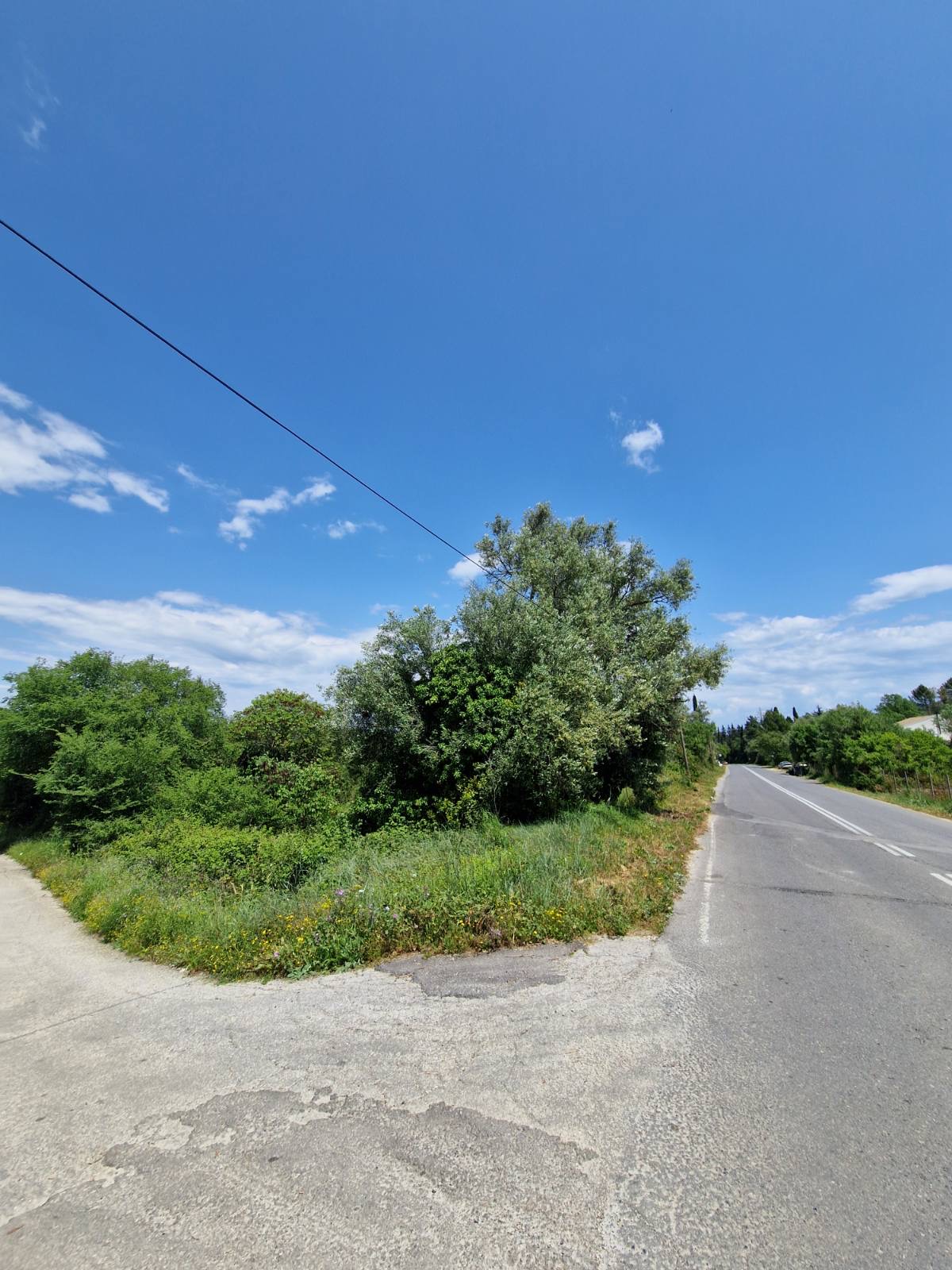 Διατίθεται προς πώληση οικόπεδο 8349.61 τ.μ., κείμενο στη θέση Πασσάρας, στον Πέλεκα Κέρκυρας