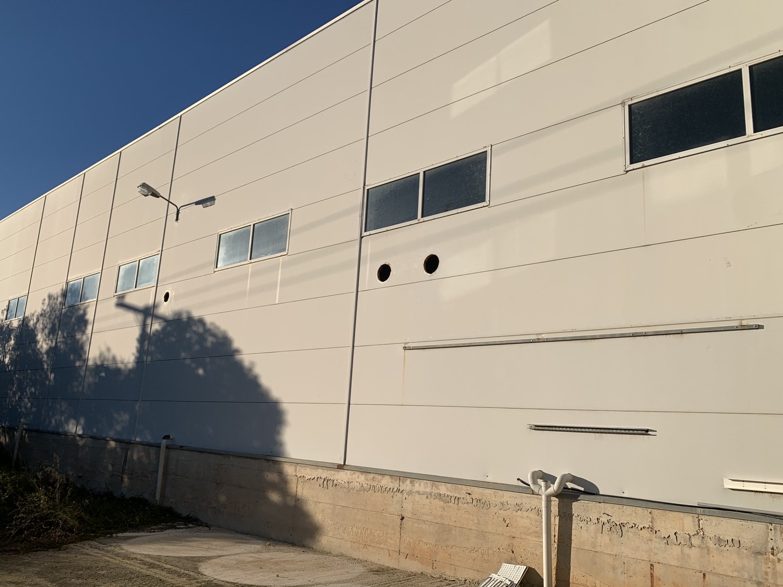 Media 7