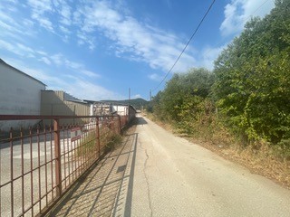 Media 3