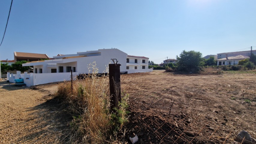 Media 7