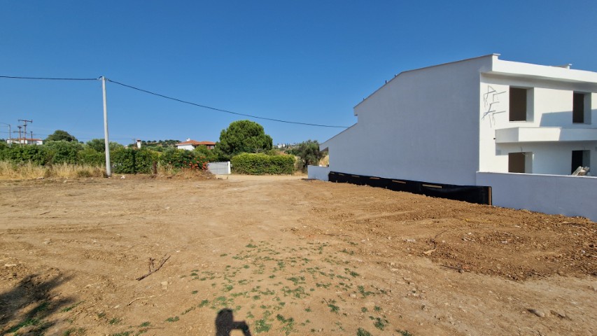 Media 11