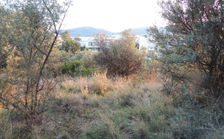 Διατίθεται προς πώληση αδόμητο οικόπεδο 406 τ.μ., άρτιο και οικοδομήσιμο, εντός οικισμού Νέων Παγασών, στη συμβολή των πεζόδρομων Υψίπυλης & Αυλίδας, στη θέση "Βράχος-Αλυκές", Βόλος