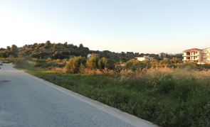 Media 3