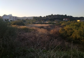 Media 6