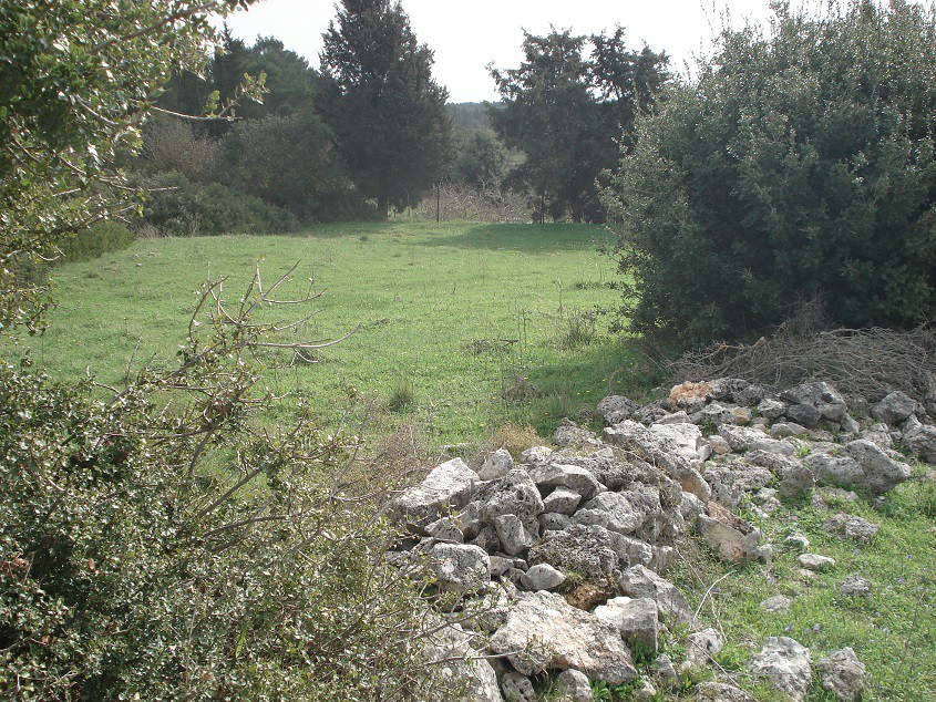 Αγροτεμάχιο έκτασης 1.197,52 τ.μ