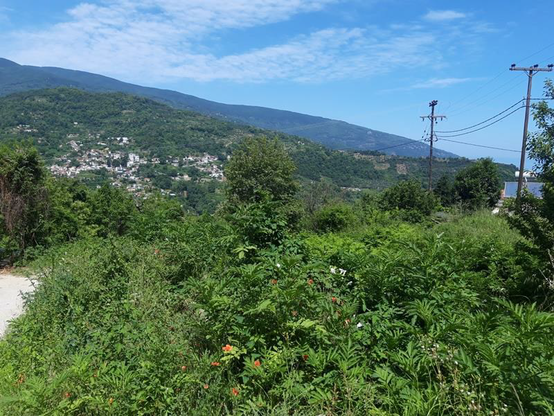 Image3