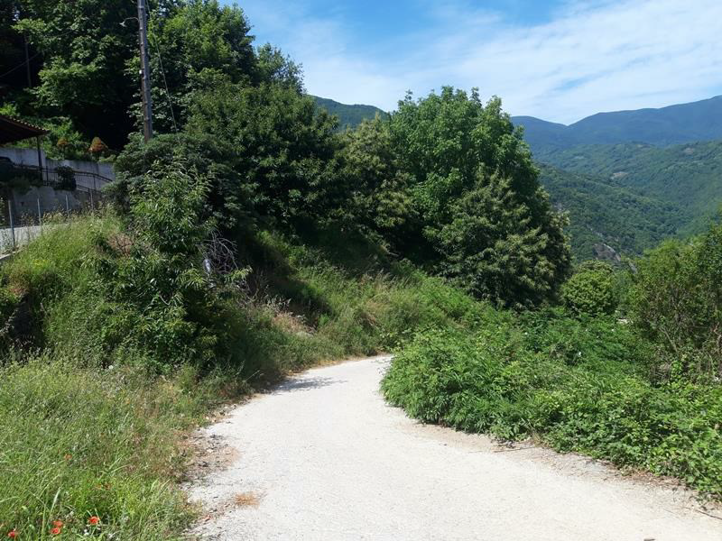 Image4