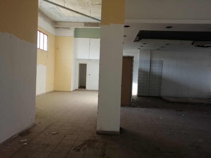 Media 11
