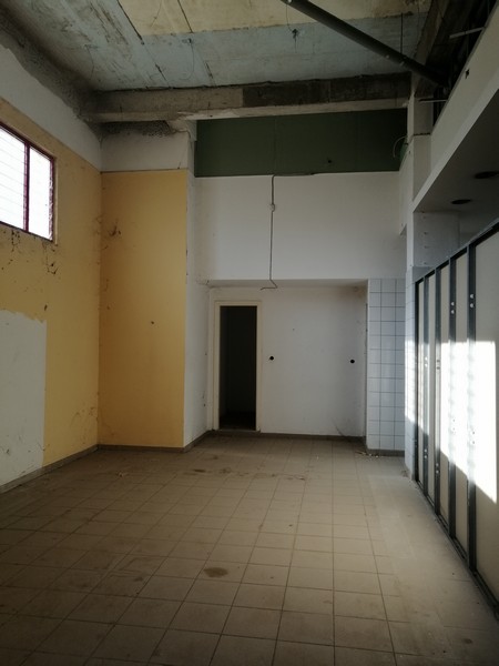 Media 12
