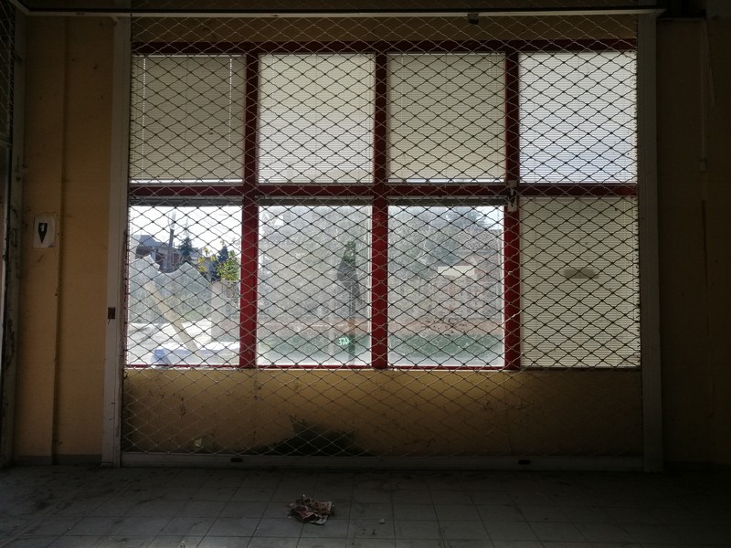Media 31