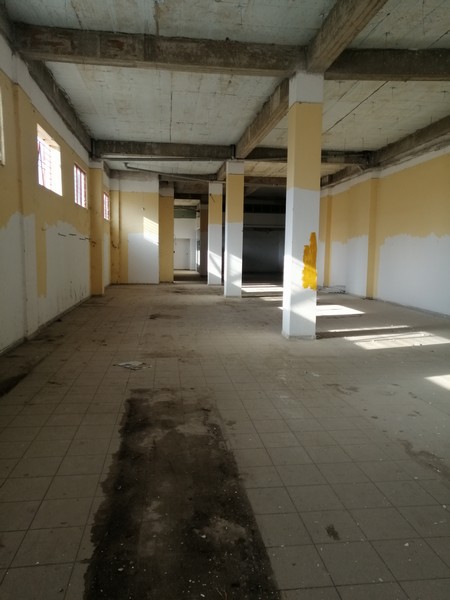 Media 36